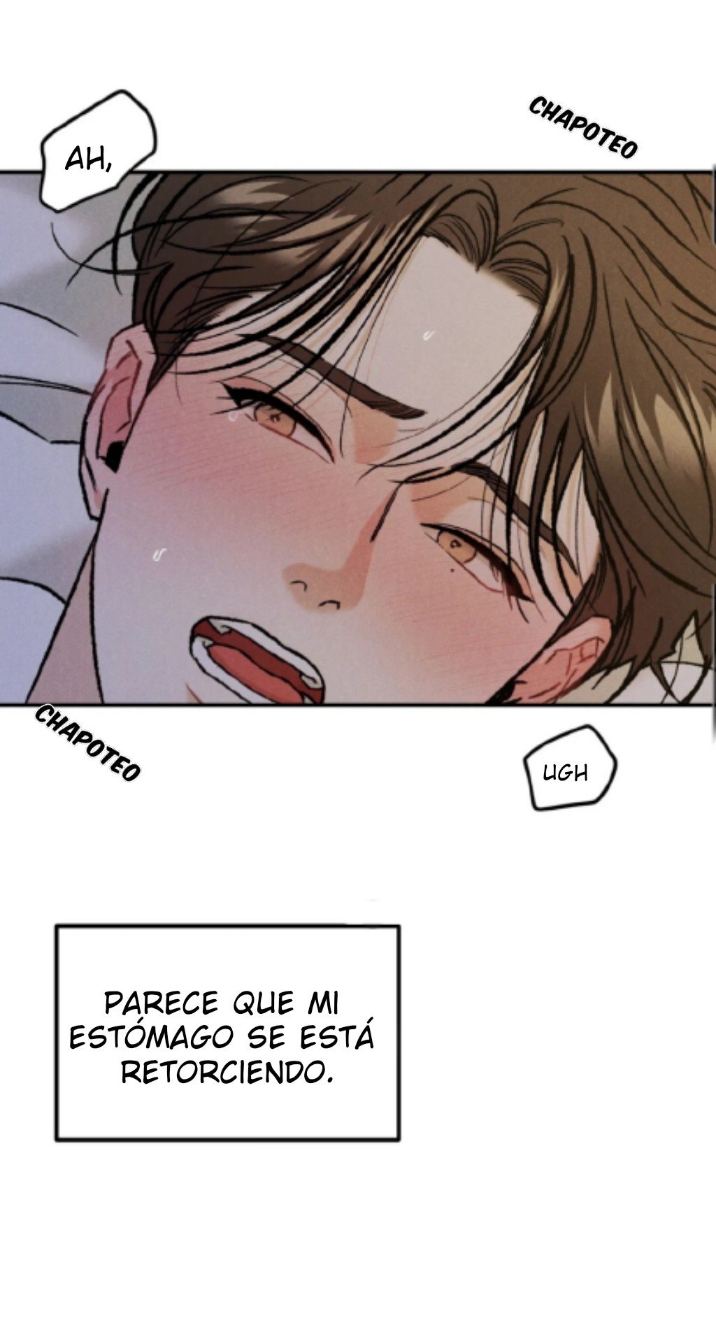Pasión (Passion BL) Capítulo 11.00 | Visor TMO Manga